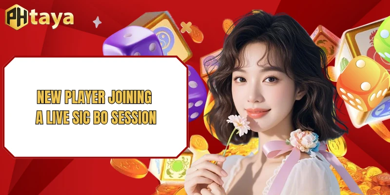 New player joining a live Sic Bo session