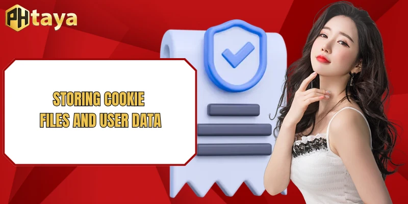 Storing cookie files and user data