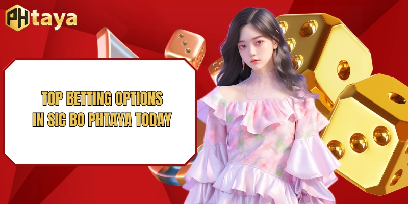 Top betting options in Sic bo PHTAYA today