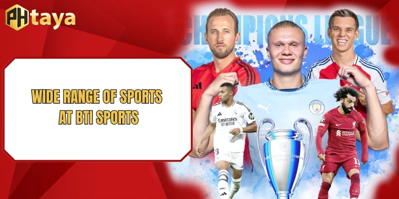 Wide range of sports at BTI sports